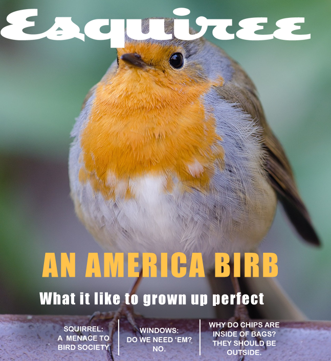 birdsrightsactivist (@probirdrights) on Twitter photo 