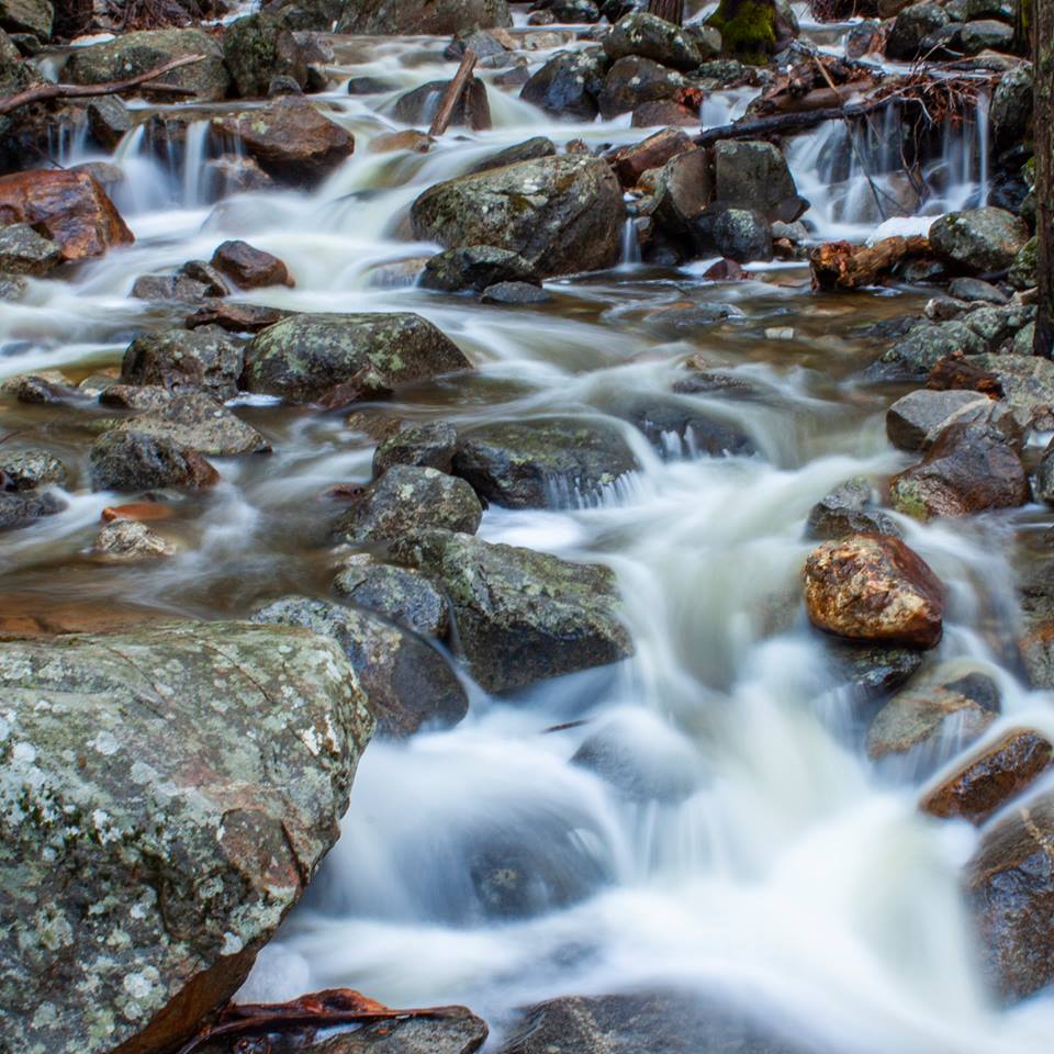 If you lived to be the age of a giant sequoia (over 3,000 years), would you experience the creeping cascade of tree sap the same way we perceive the ceaseless motion of a tumbling creek? What other slow changes might escape our notice?

#DifferentPerspectives