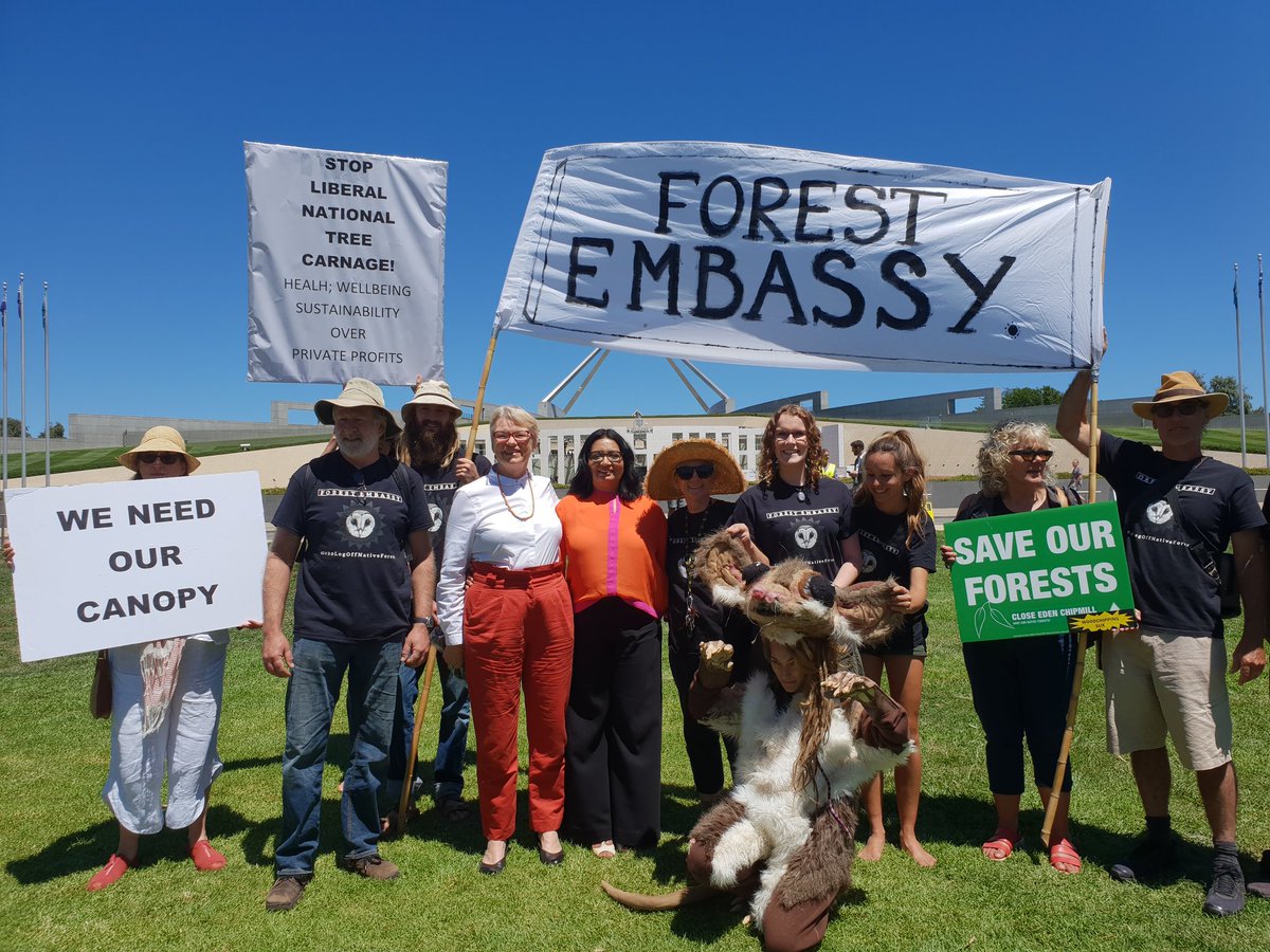 MehreenFaruqi's tweet photo. Protect our native forests! #NationalForestUprising #EndNativeForestLogging2020 @janet_rice @greens https://t.co/TcI4J1jzlU