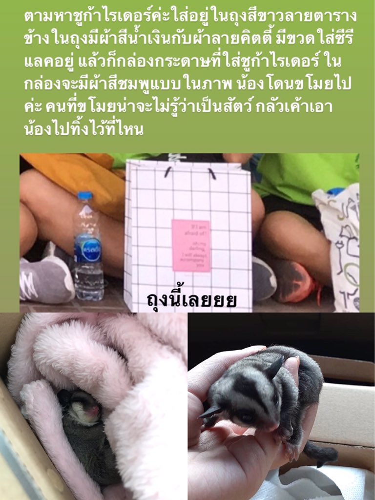 💥พิรักยองแจ🦕 tweet media