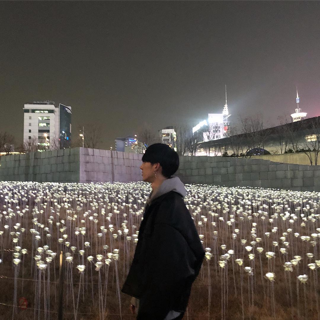 Одинокие в сеуле в кинотеатрах. Корейская атмосфера. Светящиеся цветы Корея. Сад светящихся роз в Сеуле. Сад белых роз Сеул.