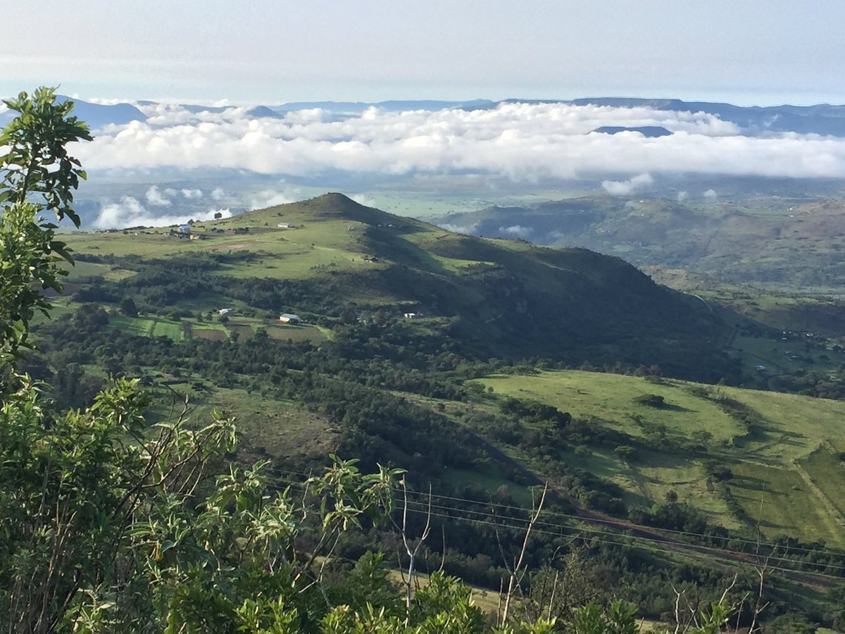 Morning drive to battlefields today after lovely rains.#inshorts