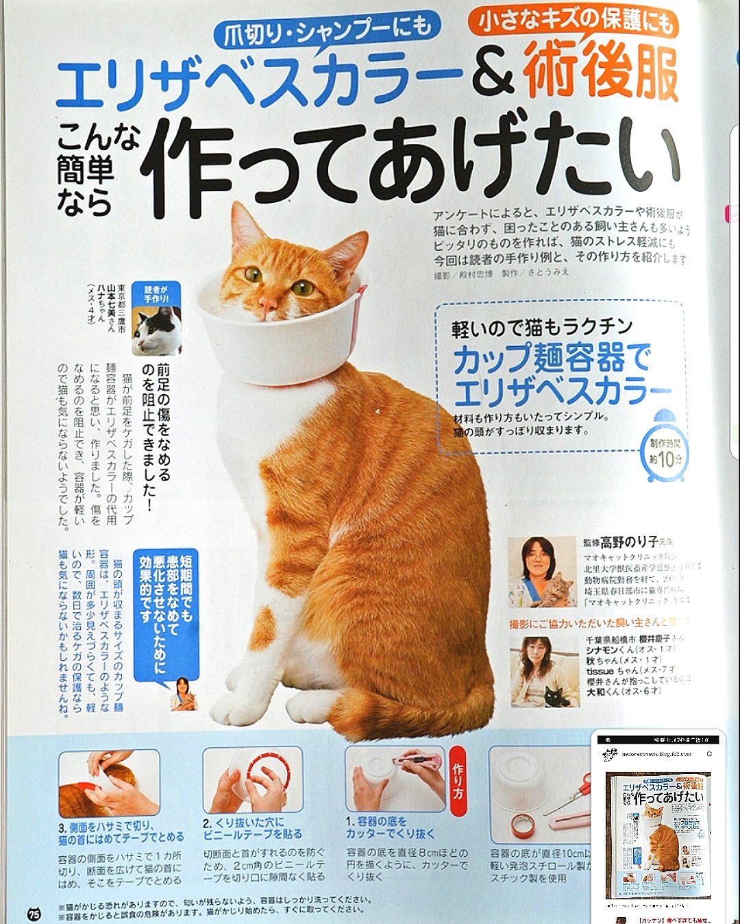 エリザベスカラー手作り Twitter Search Twitter