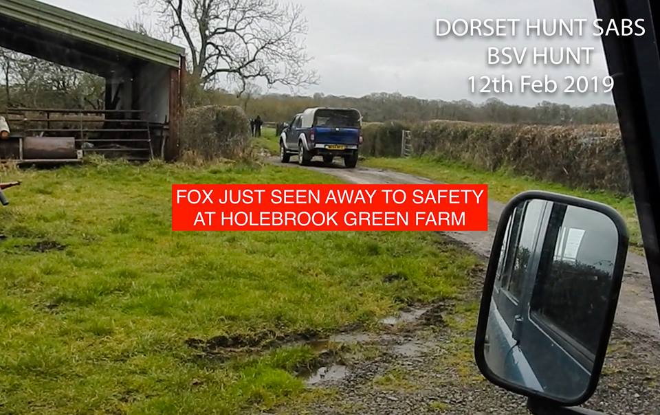 dorsethuntsabs's tweet image. Feb 12 2019: We save at least four foxes from the bloodthirsty Blackmore &amp;amp; Sparkford Vale Hunt. Corrupt cops and judges might look the other way, but we will never turn our back on vulnerable wildlife.
network23.org/dorsethuntsabs…
