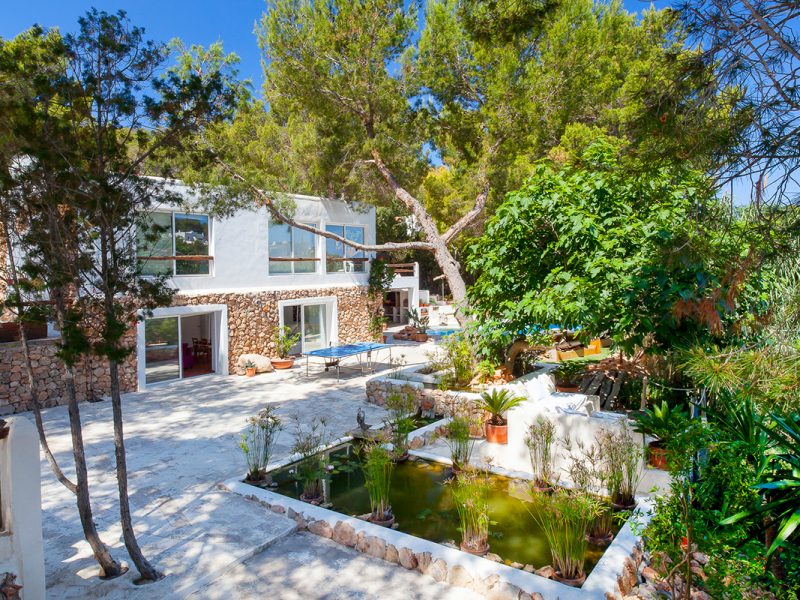 ibifast's tweet photo. Beautiful Ibiza nature. #nature #ibiza #travel #traveller #ibiza2019 #IBIZAWEEKENDER #WednesdayWisdom #WednesdayMotivation #wednesdaythoughts #relaxation #green #remote #villa https://t.co/4wfxZMsDxU