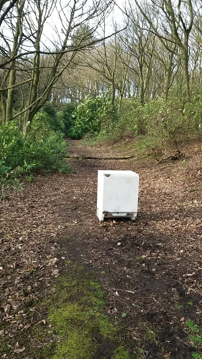 CM_HGC's tweet photo. Lots of tidying up to do this week @HuddersfieldGC, gotta love Silver Birch and Pine #StormEric. Look what else we've had to clear away #fridge #random https://t.co/p9vAzQ5yYm