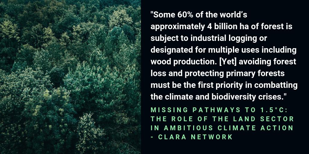CLARA_Alliance's tweet image. Want to know more about #MissingPathways to 1.5 degrees? Read the  @CLARA_Alliance report here: climatelandambitionrightsalliance.org/report