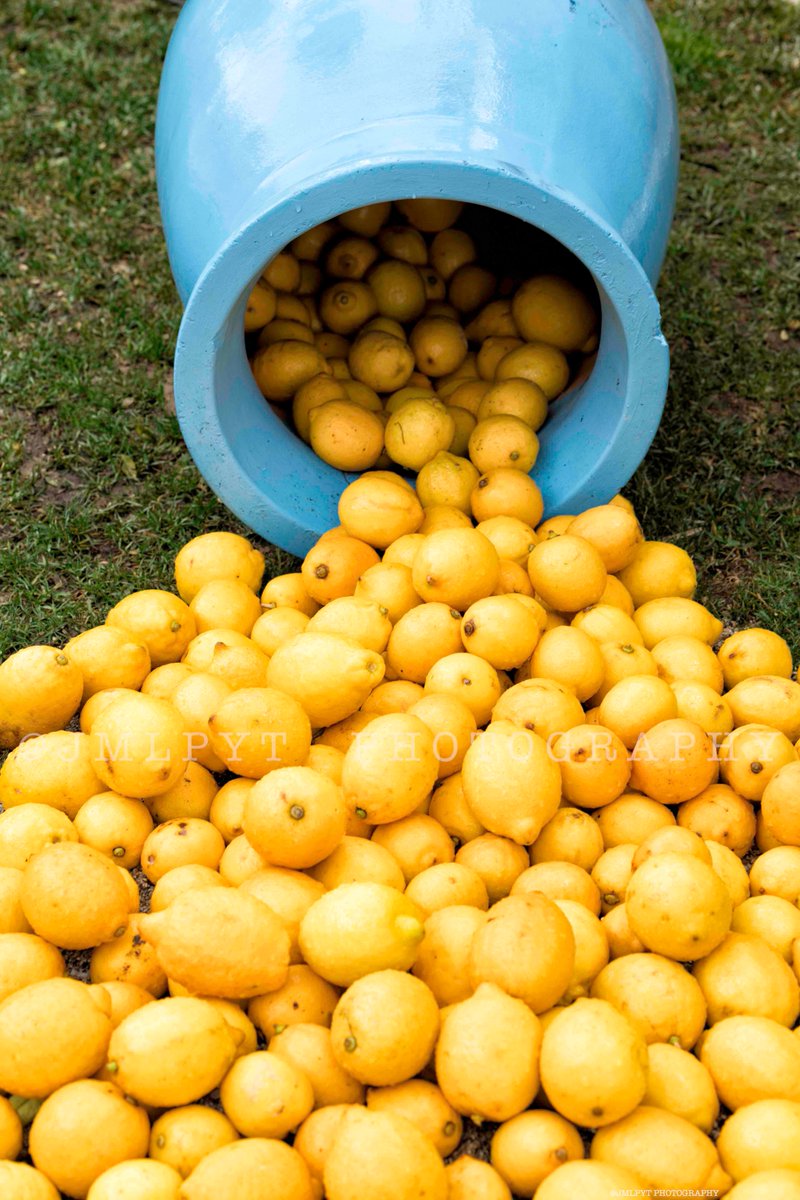 jmlpyt's tweet photo. 🍋 la fête du Citron à Menton débute le 16 février à vos agendas 🍋 
le programme c'est par là  😜 :  ➡️ https://t.co/VszxIZFdFe 

#FeteduCitron #Menton #VilledeMenton #CotedAzurFrance #jmlpyt #carnival #Carnival2019 #frenchriviera #cotedazur #Tourisme #tourism #citron https://t.co/TVUDCdCy2G