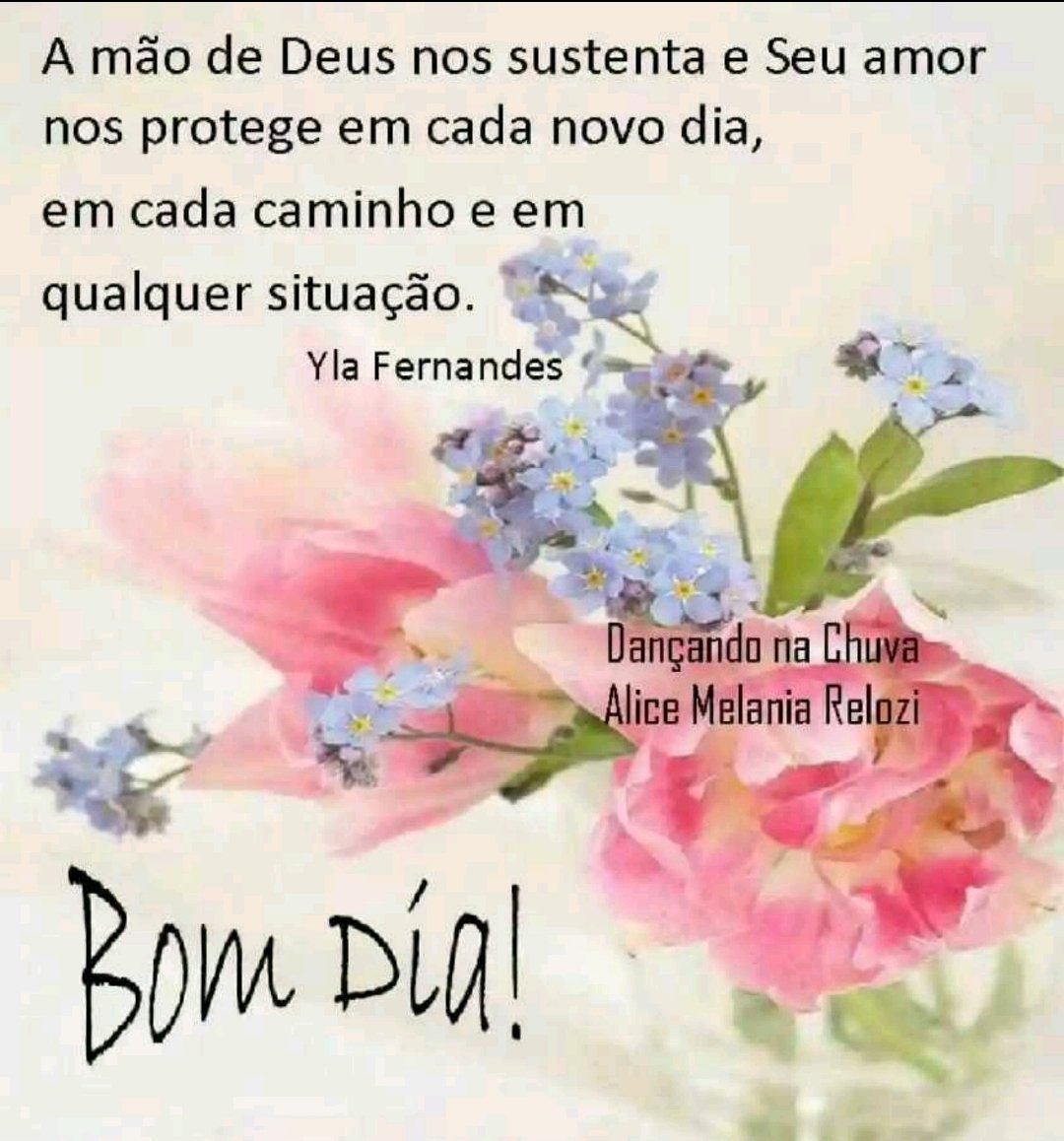 🇧🇷 𝙂𝙞𝙡𝙗𝙚𝙧𝙩𝙤 🇧🇷🇧🇷 on Twitter: 🇧🇷 𝙂𝙞𝙡𝙗𝙚𝙧𝙩𝙤 🇧🇷🇧🇷 on Twitter: