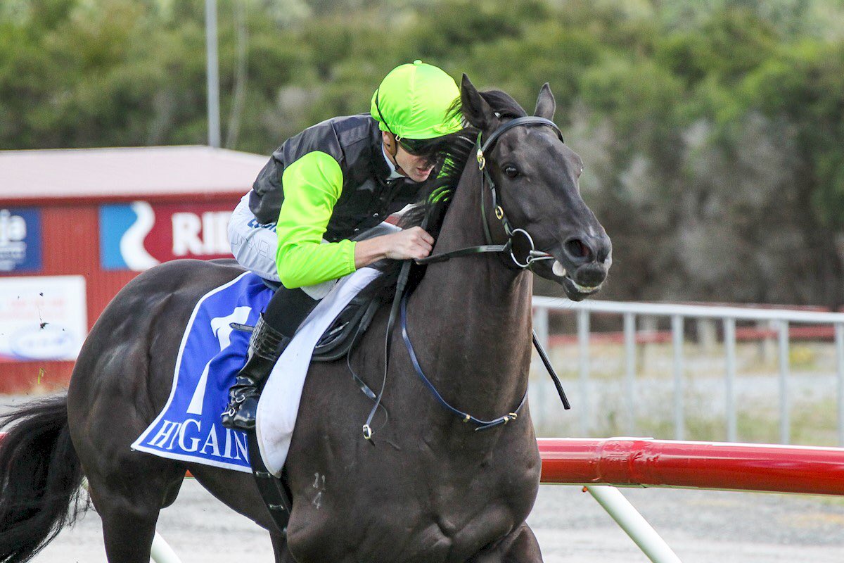 HickmottRobert's tweet photo. The black and lime silks of  @Morningrisestud are having a terrific run and continued today with Pierro gelding BERING SEA finally delivering the goods with an emphatic victory! Hopefully my first of many winners for Rob and Barb McClure! https://t.co/j3SH9Jg4KE