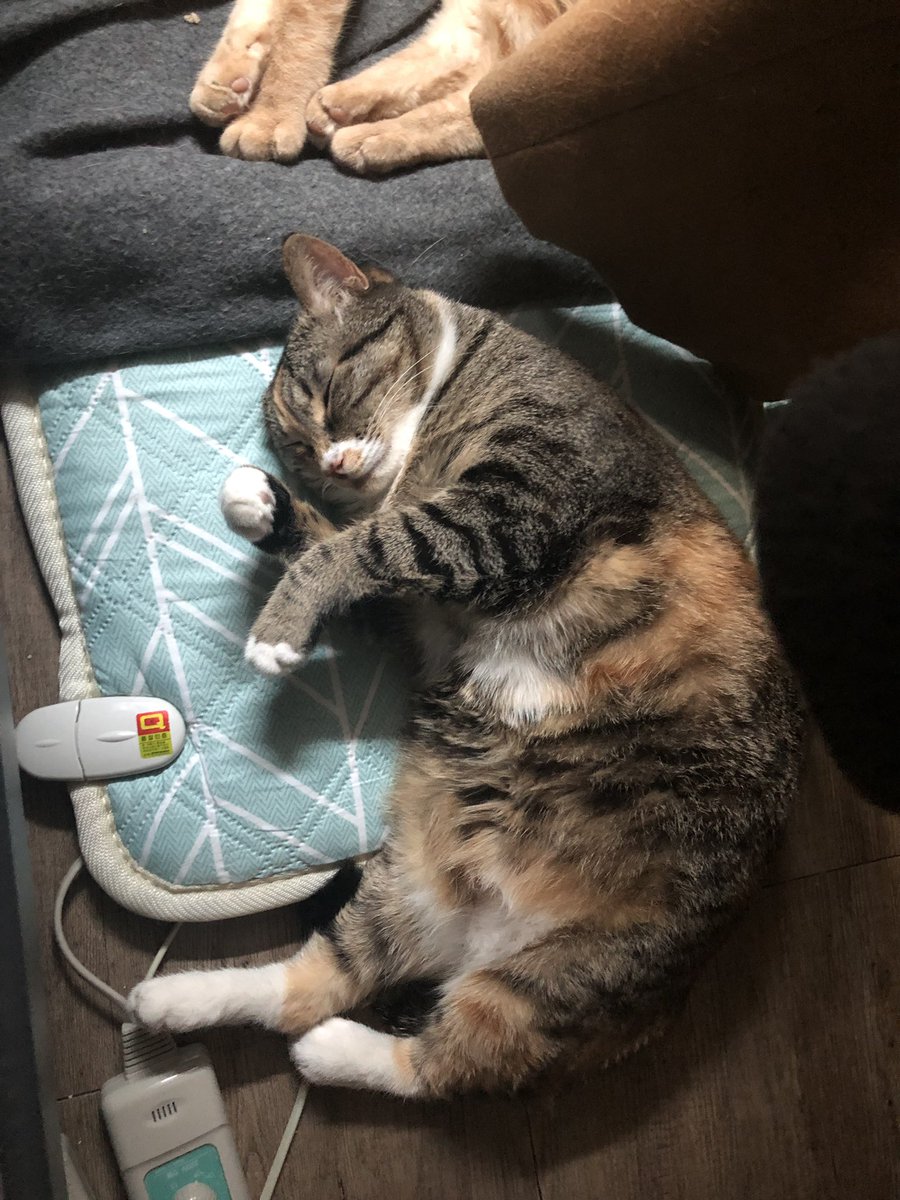 선생님 방댕이가 흘러내려갔다는 사실을 알고 계신가요?