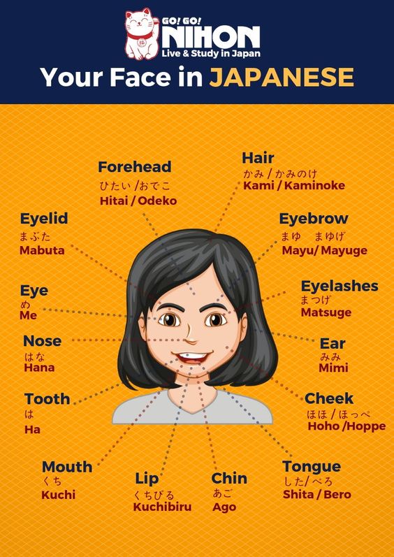 MAHOUTOKORO_JP's tweet image. #20thSemester
#WeeklyInfo
#SecondWeek

18日2月2019年

"Your Face in Japanese"