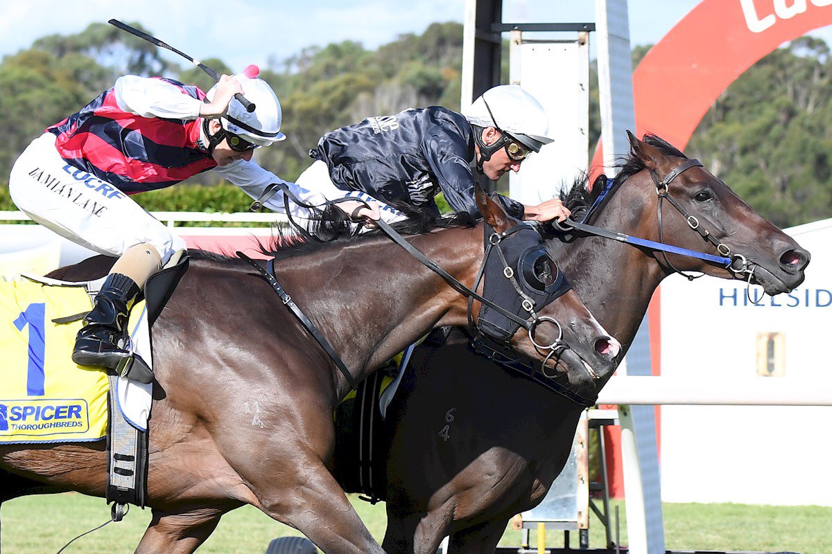 DOBrienRacing's tweet photo. Ollie lifts Vellaspride over the line @LadbrokesPark on the 7-day back-up to reward the four-year-old, and his connections, for his consistency after four consecutive seconds! #goodwin #stayingprospect https://t.co/5blaT9TzdT