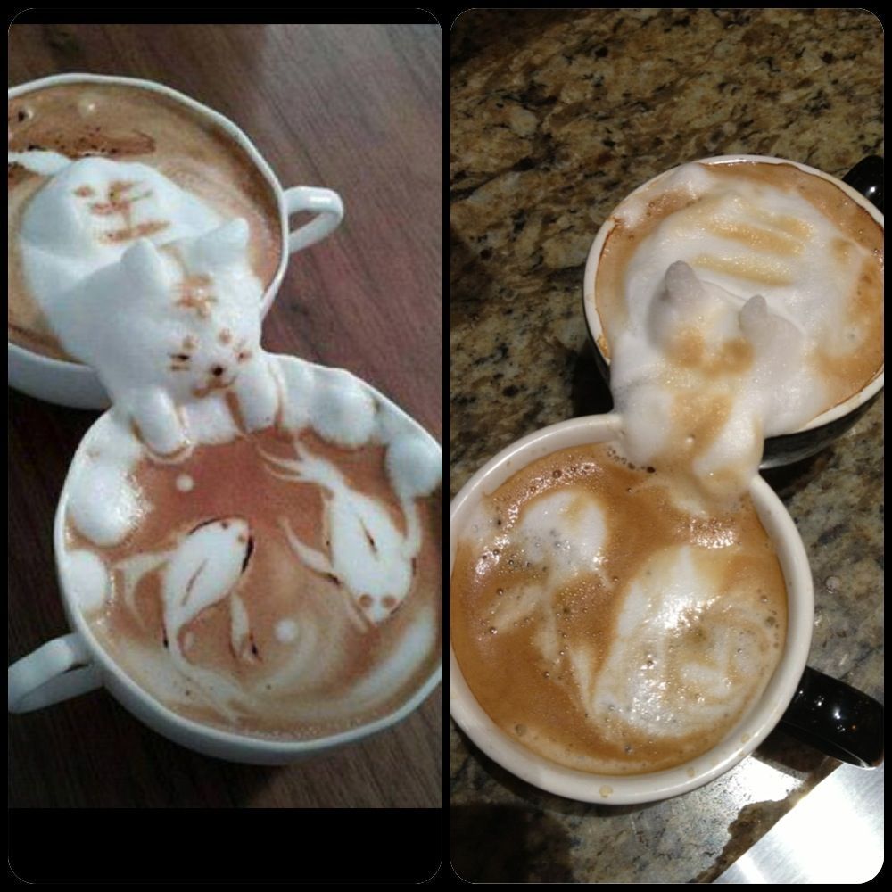 These are the finest coffee beans money can buy. We don't use these. We use cheap shit. #coffee #coffeelover #coffeeaddict #coffeeshop #coffeeholic