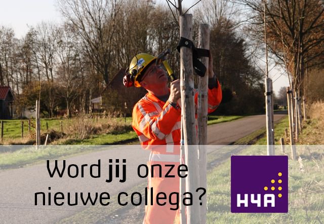 Ga jij het maken bij H4A? En heb jij groene vingers? Dan zoeken wij jou! Om ons team te versterken zijn we opzoek naar een 🍃 Medewerker Groen 🍃

Bekijk dan snel de vacature (en al onze andere vacatures) op: 
buff.ly/2TL7w2l