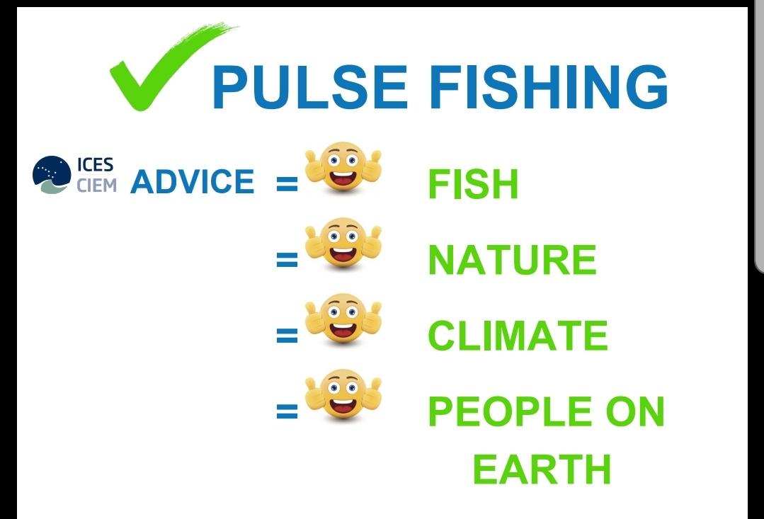 corvonktx1's tweet photo. Follow scientist, think about the 500 families and nature.
Give #pulsefishing a chance!
https://t.co/nLXgOm6TAu

@MichaelCreedTD
#ElectricFishing
@EmmanuelMacron
@Pescaelettrica
@DSFEurope 
@TheProgressives
@GabrielMatoA
 #pêcheélectrique
@JunckerEU 
@KarmenuVella
@EU_MARE https://t.co/S1oKhArdFd