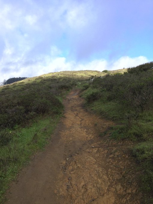#trailtuesdaythrowback to last #Saturday at #SFRC. 15km of puffy clouds, emerald hills, muddy trails<a href="/tag/trailtuesdaythrowback"class="tags">#trailtuesdaythrowback</a><a href="/tag/saturday"class="tags">#Saturday</a><a href="/tag/sfrc"class="tags">#SFRC</a><a href="/tag/trailrunning"class="tags"><span>#trailrunning</span></a><a href="/tag/trailrun"class="tags"><span>#trailrun</span></a><a href="/tag/trailrunner"class="tags"><span>#trailrunner</span></a><a href="/tag/longrun"class="tags"><span>#longrun</span></a>