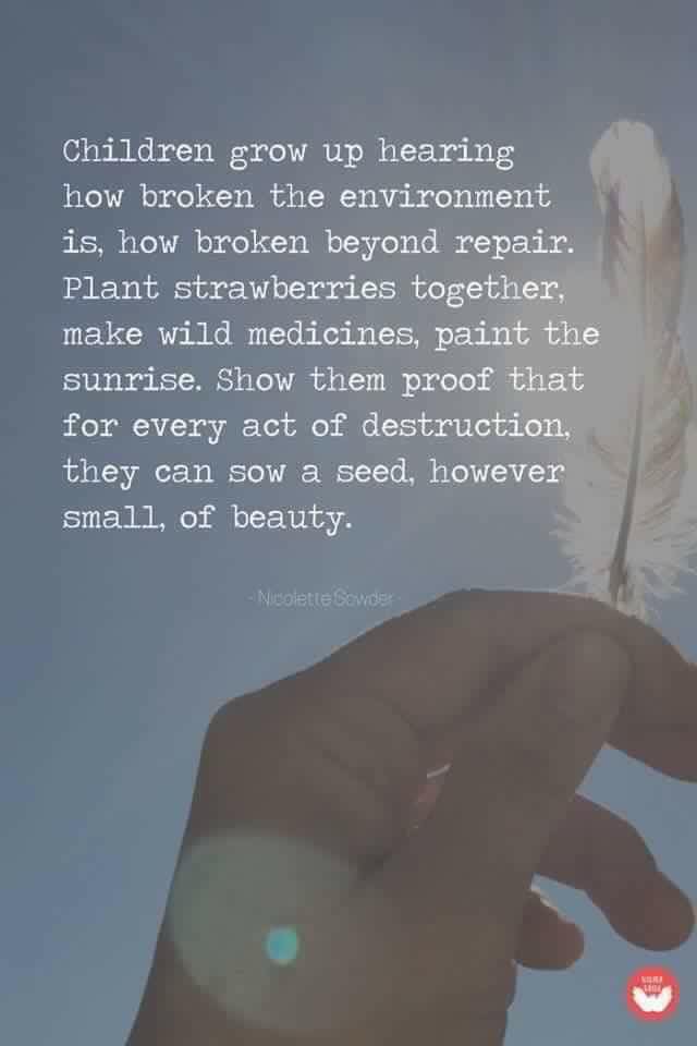 “Children grow up hearing how broken the environment is, how it’s broken beyond repair. Plant strawberries together, make wild medicines, paint the sunrise. Show them proof that for every act of destruction they can sow a seed, however small, of beauty.” 

#YearofGreenAction