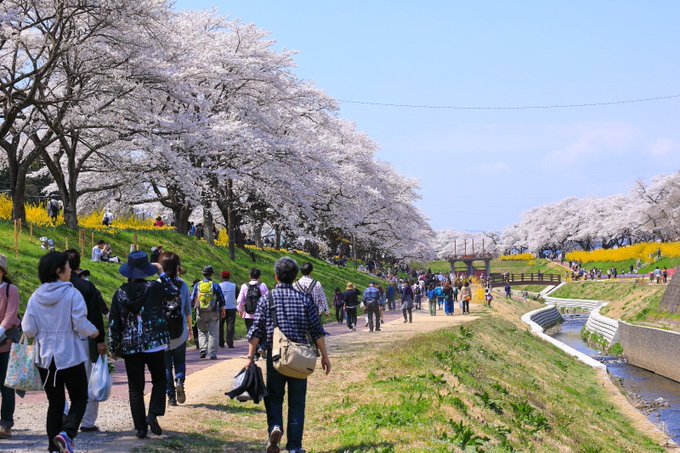 宮城県の道路ライブカメラ 積雪や大雪の情報 何度で路面凍結 Sakuraの気になること調べる倶楽部
