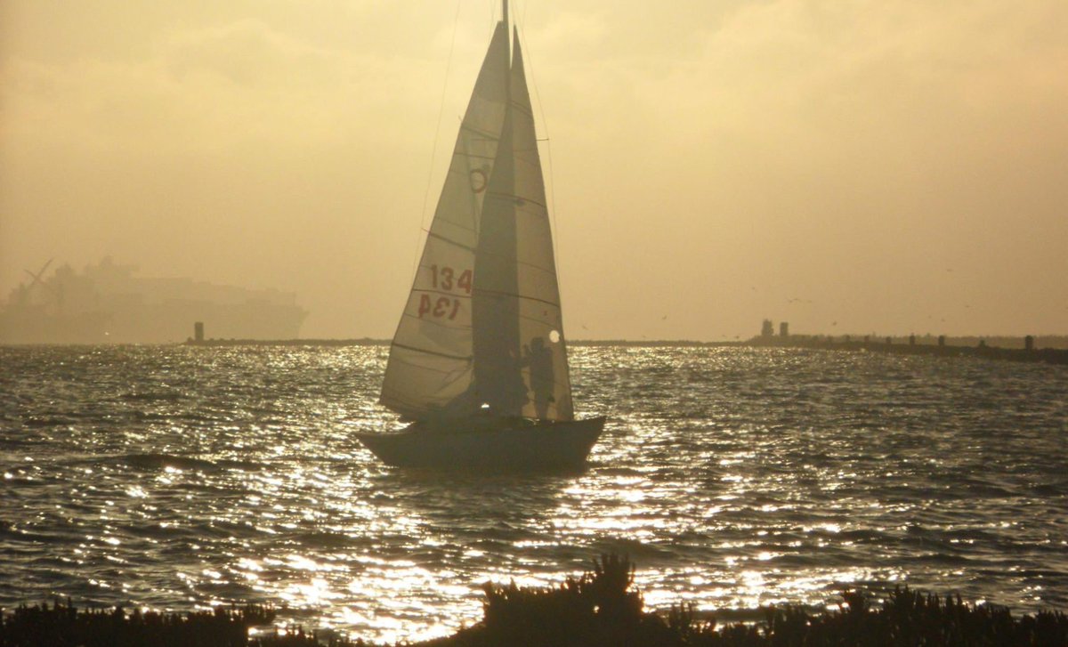 HolisticAlameda's tweet photo. #Freesailing off #BallenaBayAlameda! Nearing dusk. Learn to sail at @SailAlameda! https://t.co/0g5pl20CoB