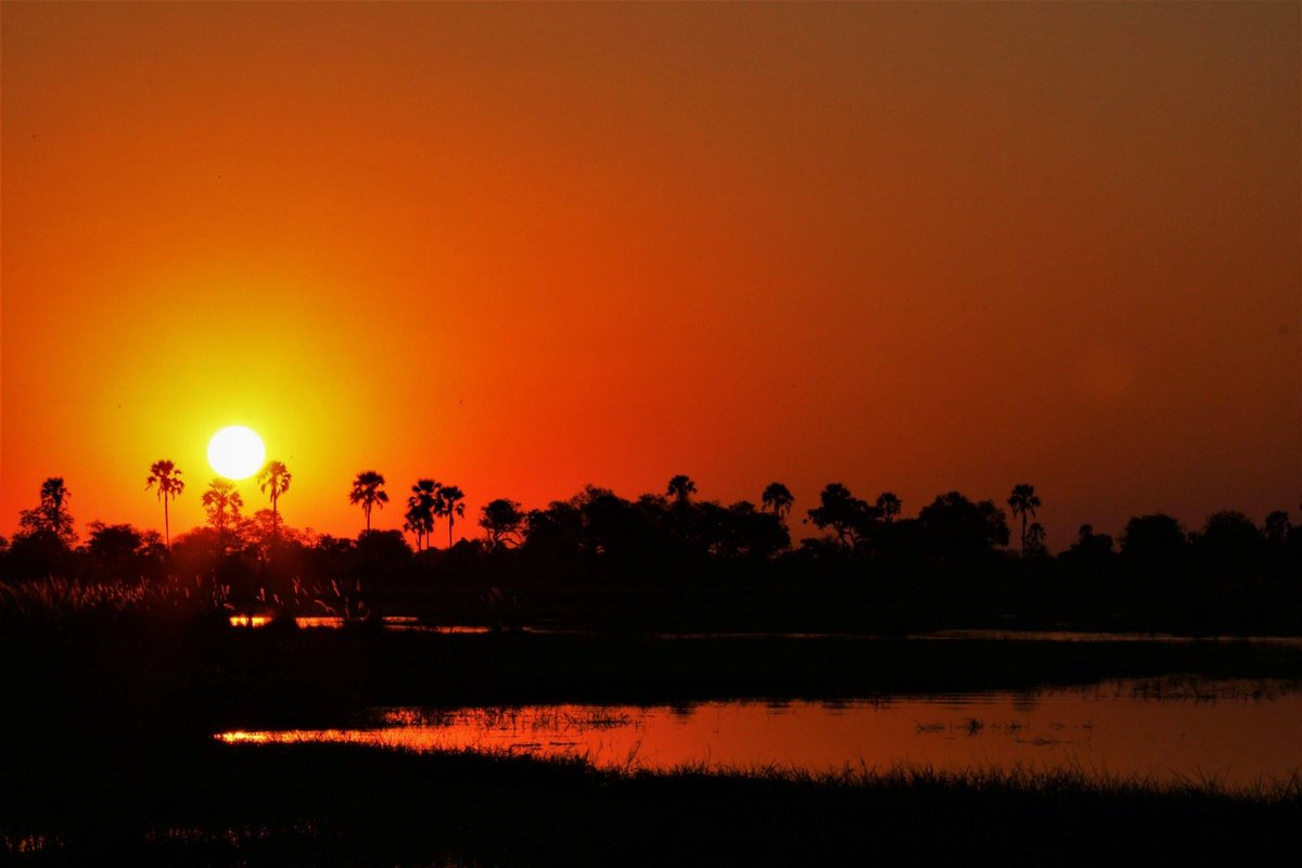 lelobusafaris's tweet photo. Every night a different amazing Botswana sunset.

📷- Client - Marissa Crandall

For bookings contact us  info@lelobusafaris.com

#sunset #botswana #love #deltaadventure #delta #perfect #nature #travel #wow #lelobusafari https://t.co/gOMSuiWZtr