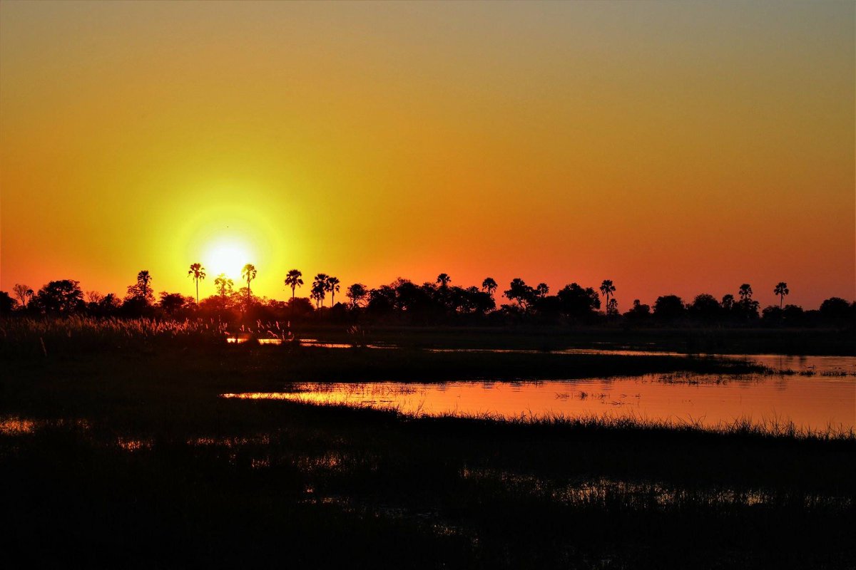 lelobusafaris's tweet photo. Every night a different amazing Botswana sunset.

📷- Client - Marissa Crandall

For bookings contact us  info@lelobusafaris.com

#sunset #botswana #love #deltaadventure #delta #perfect #nature #travel #wow #lelobusafari https://t.co/gOMSuiWZtr
