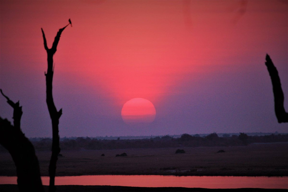 lelobusafaris's tweet photo. Every night a different amazing Botswana sunset.

📷- Client - Marissa Crandall

For bookings contact us  info@lelobusafaris.com

#sunset #botswana #love #deltaadventure #delta #perfect #nature #travel #wow #lelobusafari https://t.co/gOMSuiWZtr