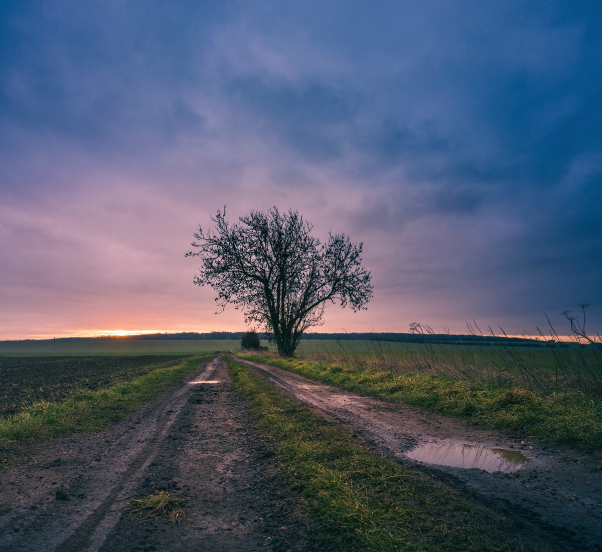 IrishPixel's tweet image. It doesn't matter how big the cloud is, the light always forces through. #thetree 🌳🙂 This morning looked dull until the sun made a statement. #WednesdayMotivation
