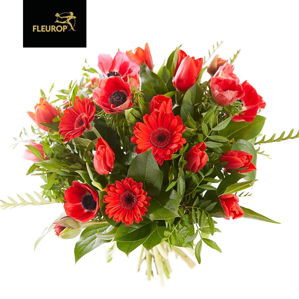 Ben je er nog niet uit wat je jouw Valentijn morgen moet geven? ❣️
Kies dan voor het boeket Mijn Valentijn dat zegt: wil jij mijn Valentijn zijn?

bit.ly/2tjeT5N
