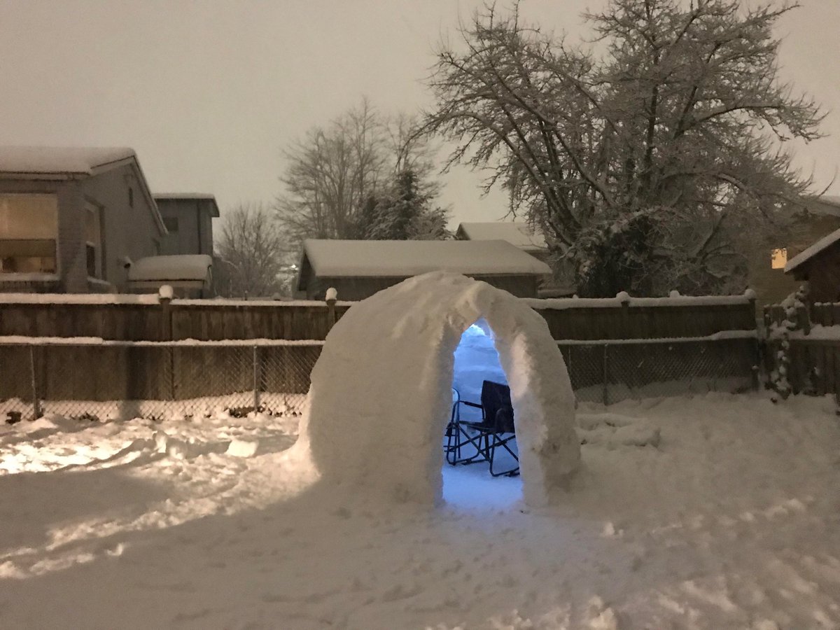 ThomasFrey's tweet photo. I used to end up in the doghouse until I built an igloo! https://t.co/B09A0tsCuy #doghouse #cooligloo #frozemyassoff https://t.co/gYfslnzNgI