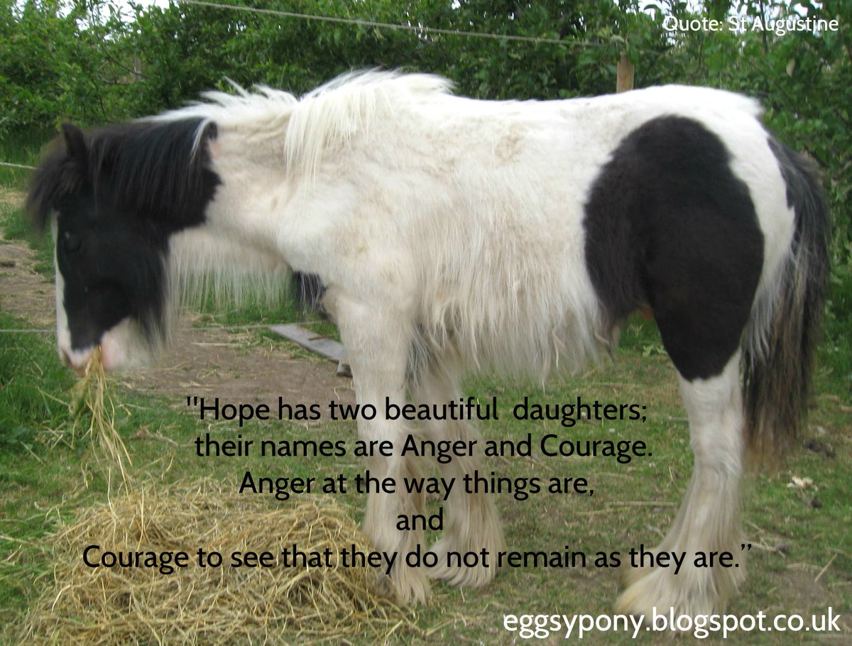 “Most of the important things in the world have been accomplished by people who have kept on trying when there seemed to be no hope at all.” #quoteoftheday  Dale Carnegie #WednesdayWisdom 
eggsypony.blogspot.com/p/about-eggsy-…