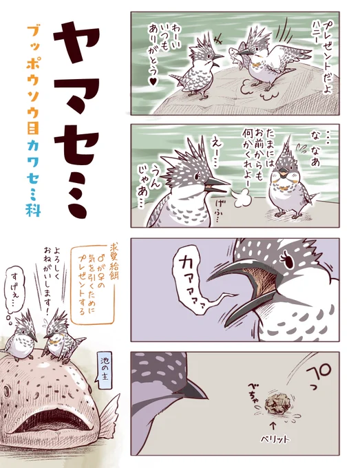 わいるどらいふっ！第123～125種
【プレゼントする鳥たち】#バレンタイン 
（でも動物の求愛給餌はみんな♂→♀） 