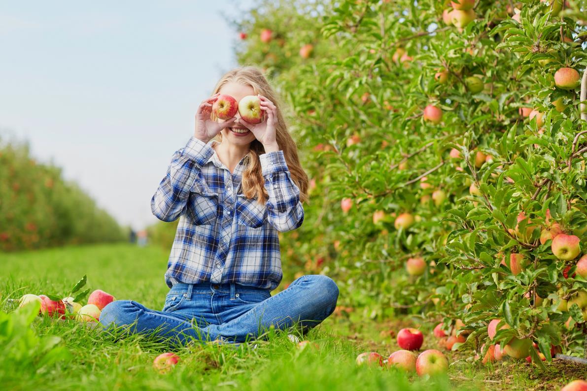 BASFAgro's tweet photo. #Horticulturists oversee increasing #yields and secure health of #plants, #fruits, and #vegetables. They also conduct #research programs to determine appropriate #harvesting or #seeding time. Their knowledge of plants and trees is broad.
#AgProfessions #PassionForAgriculture https://t.co/5Rgz7npKDk