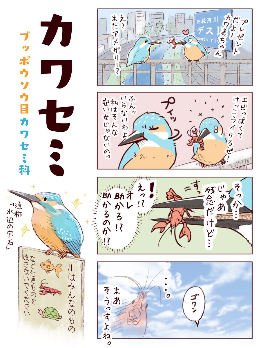 わいるどらいふっ！第123～125種
【プレゼントする鳥たち】#バレンタイン 
（でも動物の求愛給餌はみんな♂→♀） 