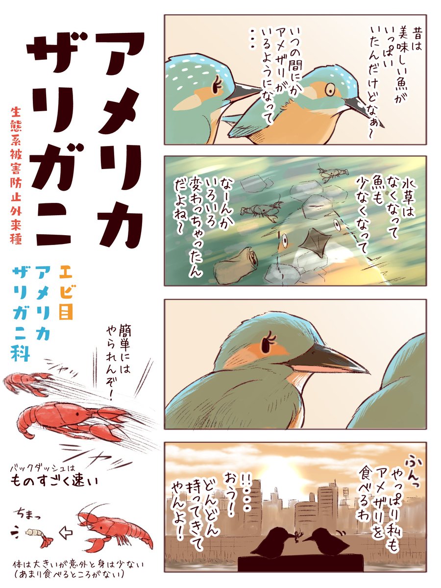 わいるどらいふっ！第123～125種
【プレゼントする鳥たち】#バレンタイン 
（でも動物の求愛給餌はみんな♂→♀） 