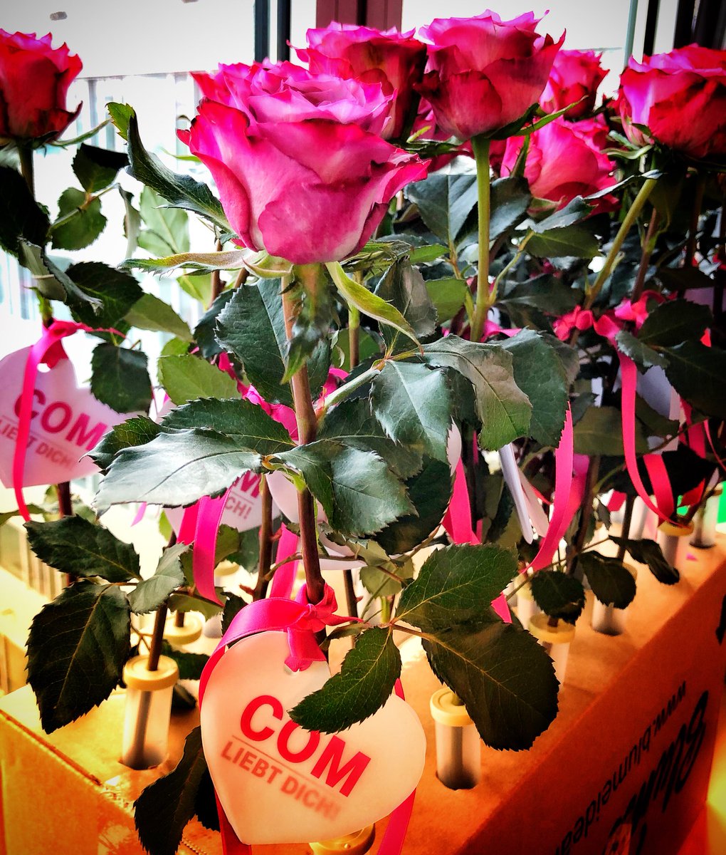 Philipp Schindera tweet media