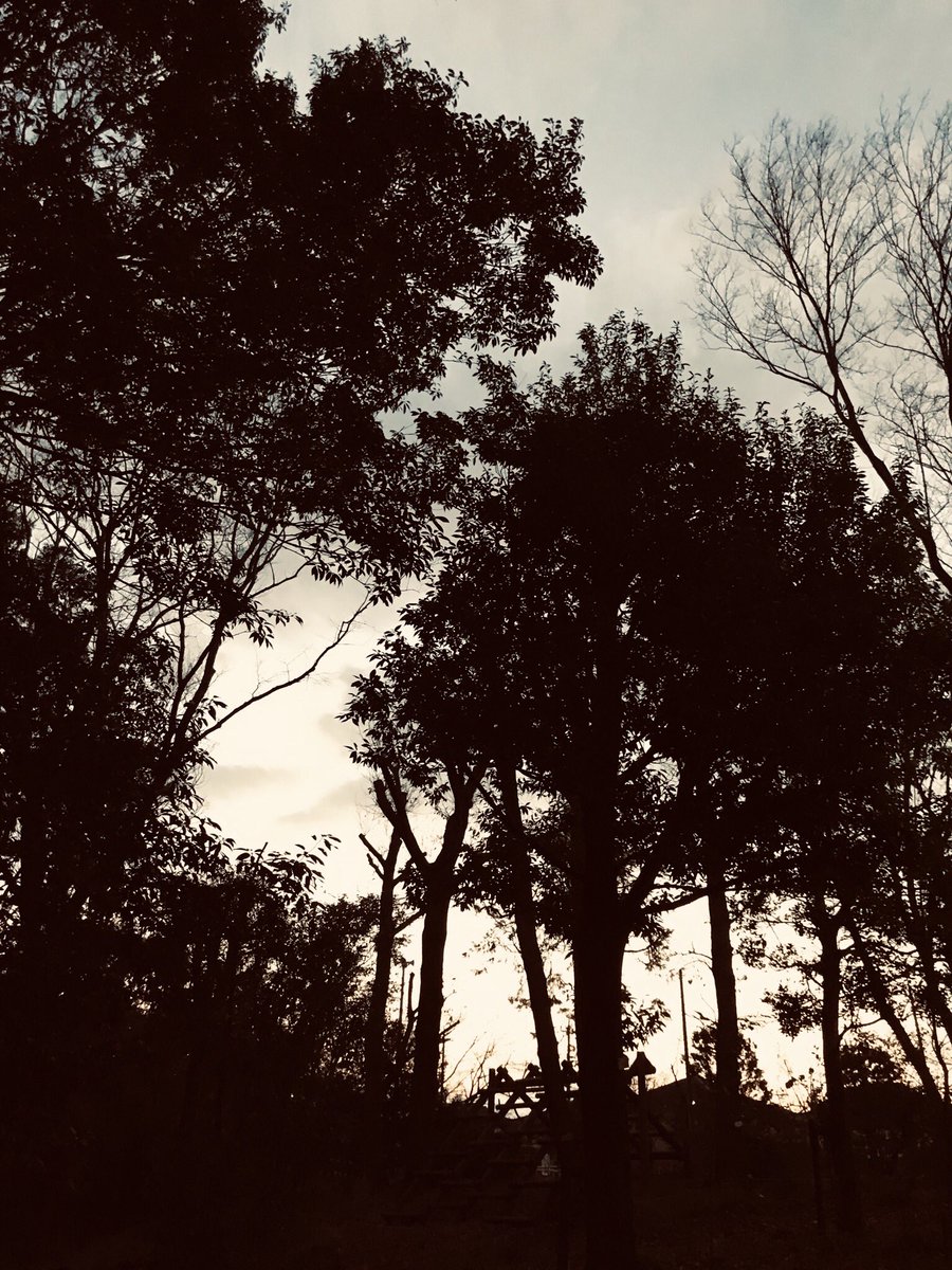Borisheavyrocks's tweet photo. My sunset notes. たそがれ時。T #borisheavyrocks #borisdronevil #sunsetnotes https://t.co/aY7HjP5381