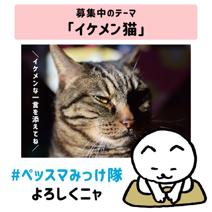 イケメン猫のtwitterイラスト検索結果