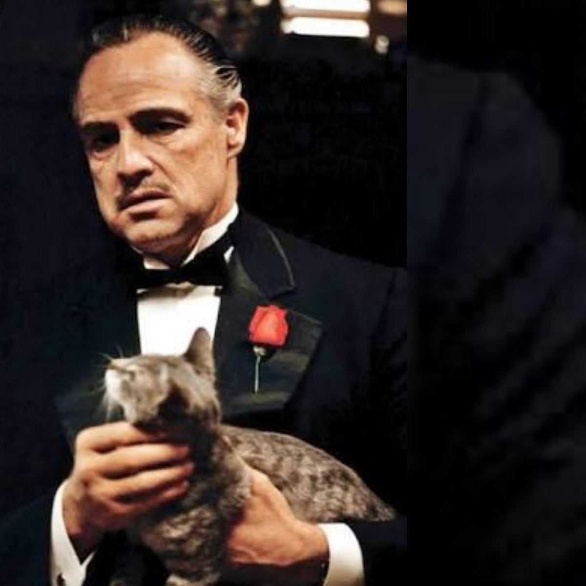 крестный отец. кто такой крестный отец. кто такой крестный отец. кто такой крестный отец. дон корлеоне фото.