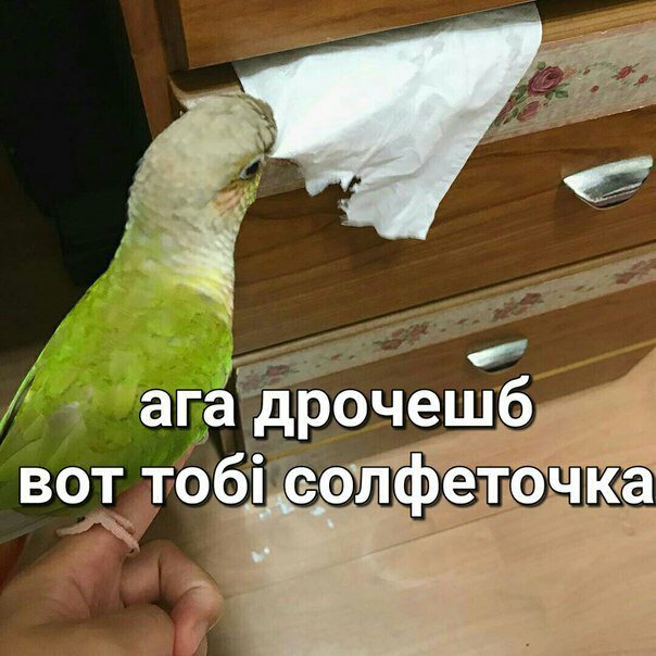 _long_dead_'s tweet photo. @_your_pink_sky_ https://t.co/tsPdeAX97M