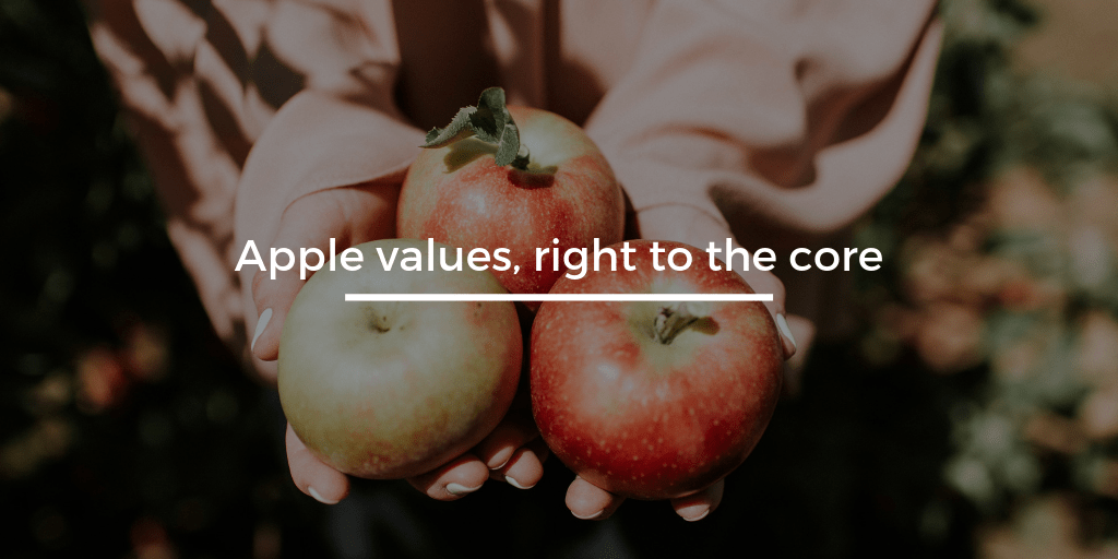 employee_zero's tweet photo. Jackanory time📖 We pride ourselves on the work that we do and the customer service we provide 😊 We have been proud Apple partners from day one and befit all the core values of Apple 😅 Get it? Apple, core, nevermind😒

https://t.co/Am3neCDehO 

#ITSupport #TechSupport #Apple https://t.co/Iwc1poQ6LR