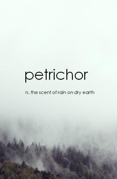 O Xrhsths Ghiberti Twitter Sto Twitter Petrichor كلمة رائعة في اللغة الإنجليزية هي رائحة المطر عند سقوطه على اليابسة.