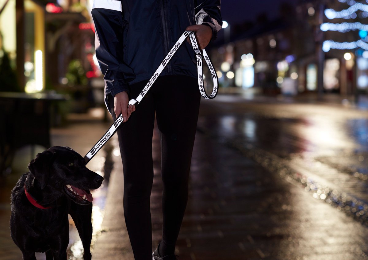 autotrader dog lead