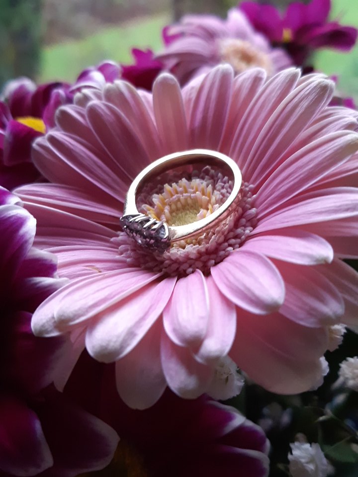 carlowcu's tweet image. Love is in the air these days
#love #Romance #gettingengaged #Diamond #diamondrings #redroses #lovecarlow #shoplocal #florist