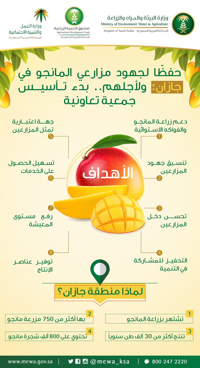MEWA_KSA's tweet image. لأجل كلّ مزارعي المانجو بـ #جازان؛ كان لهم ذلك.