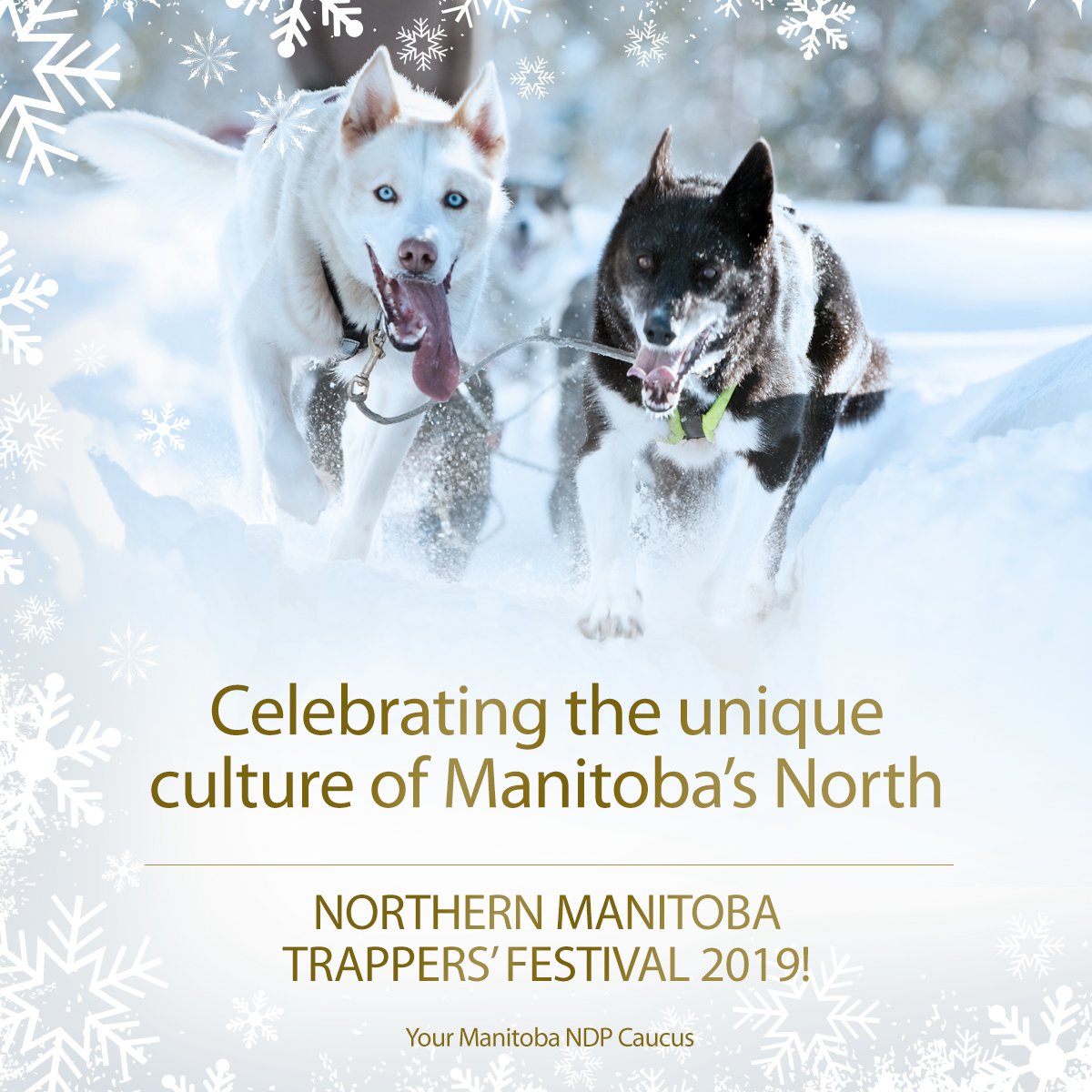 ndpcaucus's tweet photo. Come out and enjoy everything The Pas has to offer. Five incredible days you won't find anywhere else at the 72nd @TrappersFest ! #mbpoli https://t.co/BOX89ICFQx