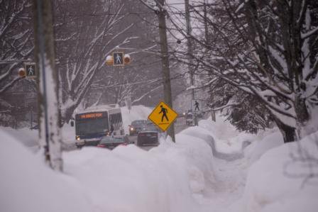 *FREDERICTON TRANSIT UPDATE* 

Fredericton Transit will be temporarily stopping transit service, effective immediately, due to poor visibility affecting travel.  At this time we plan to resume service beginning at 2:00pm, unless further delays are required.