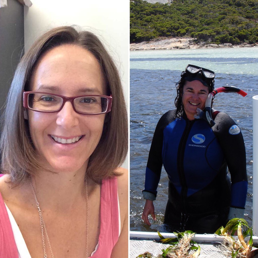 CiguaPire's tweet photo. Check out the AMAZING #Womeninscience that are part of #teamcigua. From every level, we have a great crew of motivating and hard working women involved in this project. #ciguateraresearch #benthichabs #toxins #nsfpire #nsffunded #science #collaborativescience https://t.co/43M10Cq4yR