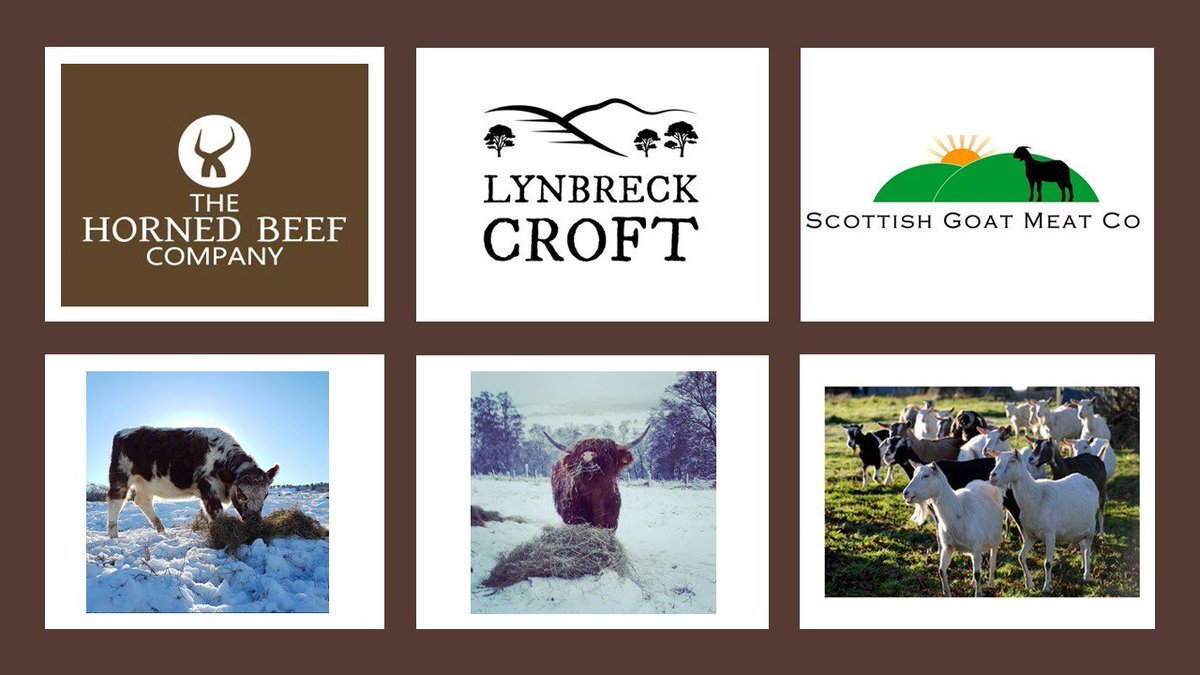 JamesHuttonInst's tweet photo. Many congrats to @TheHornedBeefCo, @lynbreckcroft and @GoatMeatCo on being announced as finalists of @newbieuk @newbieH2020 New Entrant Farm Business of the Year - good luck to all! https://t.co/NDxfZxaxNF https://t.co/u9yhMKUdBL
