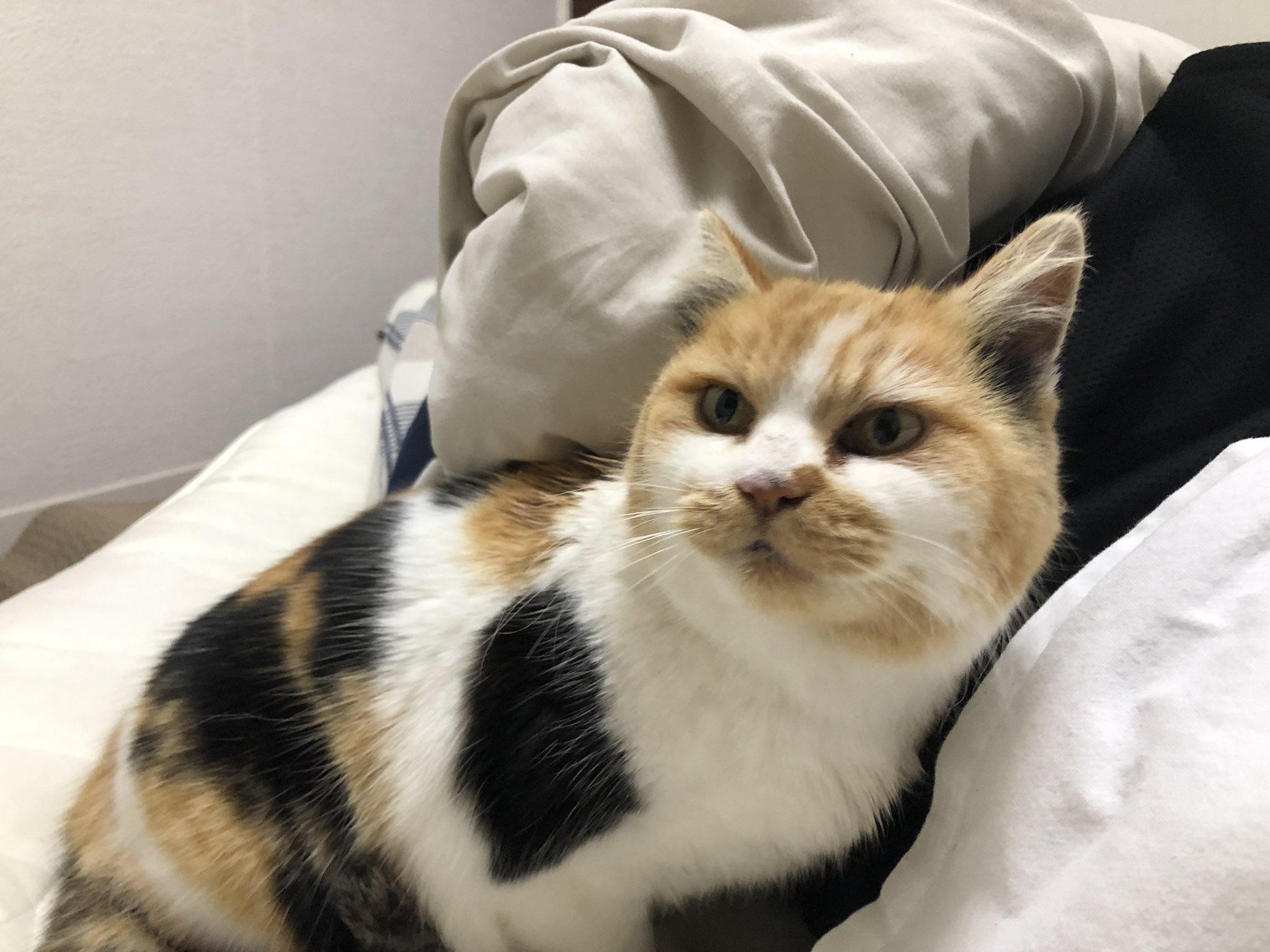 よ か まりも しょう 釣り で